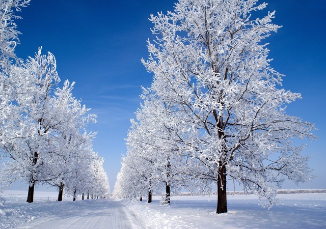 6974170-beautiful-winter-snow-hd-images